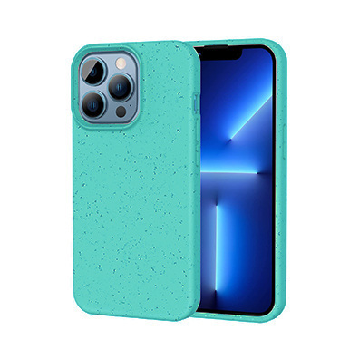  Blue-Eco Case 